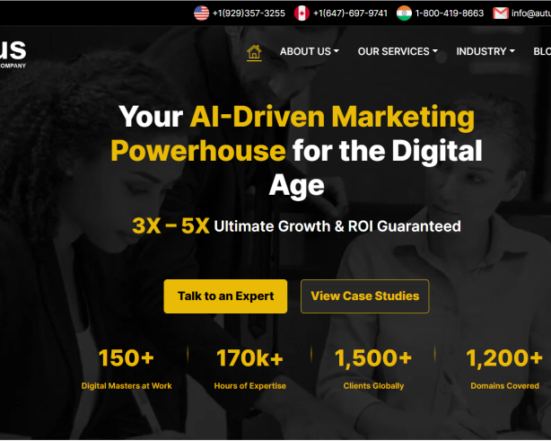 professional-seo-services-in-india-autus-digital-agency
