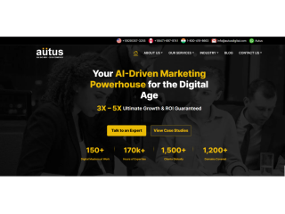 professional-seo-services-in-india-autus-digital-agency-small-0