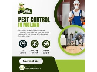pest-control-in-mulund-venus-pest-control-small-0
