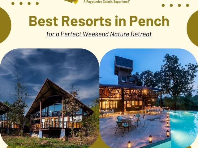 best-resorts-in-pench-for-a-relaxing-nature-stay