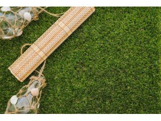 quality-natural-grass-supply-and-distribution-in-delhi-small-0