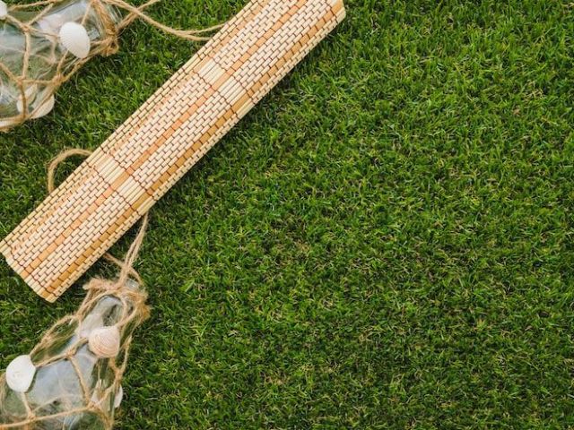 quality-natural-grass-supply-and-distribution-in-delhi