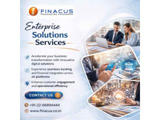 enterprise-solutions-services-aeps-software-provider-small-0