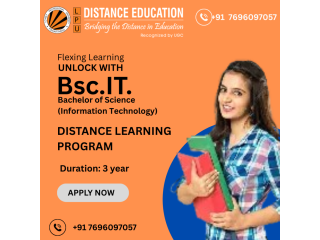 bsc-it-distance-education-at-lovely-professional-university-small-0