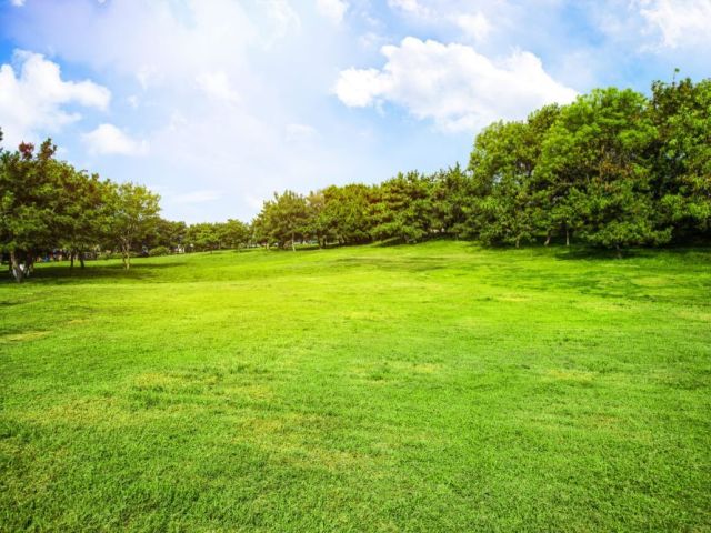 bhoomi-online-karnatakas-digital-land-record-hub