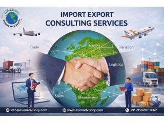 top-import-export-consulting-services-by-exim-advisory-small-0