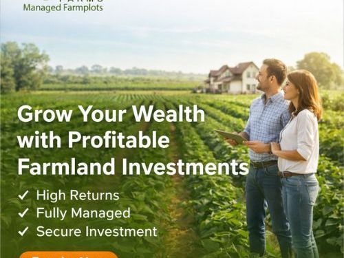 high-return-managed-farmland-for-investment-opportunities