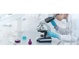 gamca-medical-for-oman-online-guide-appointment-fast-help-small-0