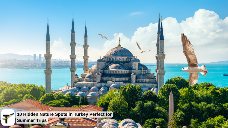 explore-turkey-with-tripkaro-best-travel-packages-f-big-0