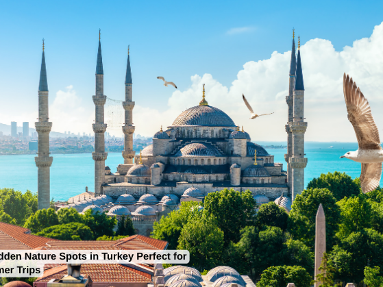 explore-turkey-with-tripkaro-best-travel-packages-f