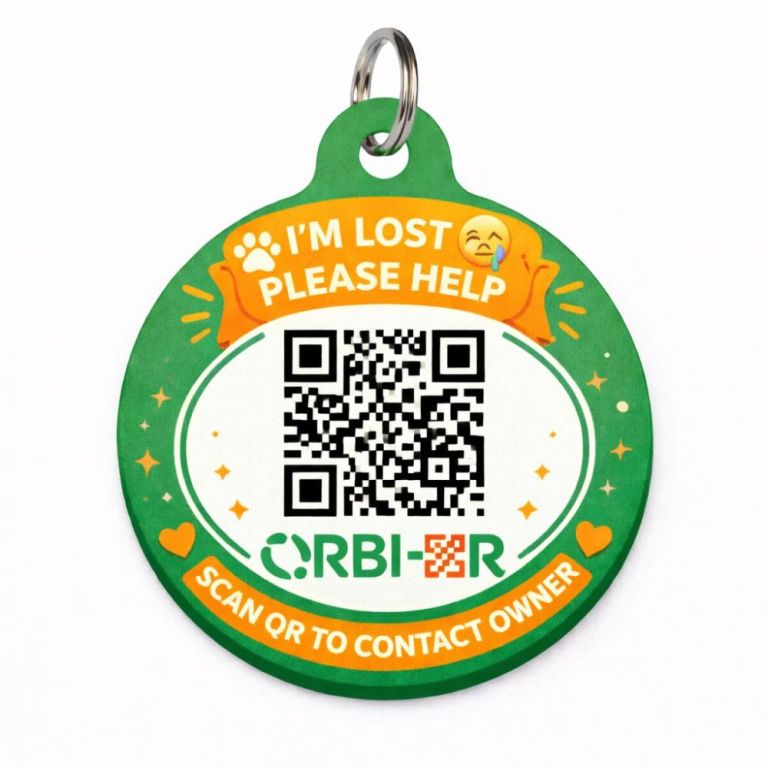 reliable-pet-safety-tracking-solutions-by-big-1