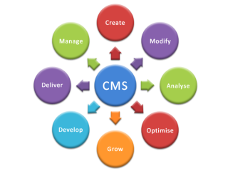 unlock-growth-with-powerful-cms-development-services-small-0
