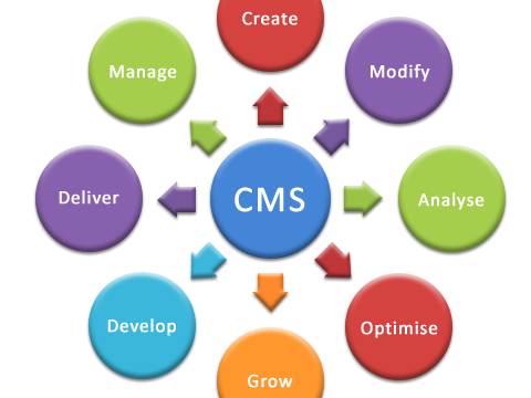 unlock-growth-with-powerful-cms-development-services