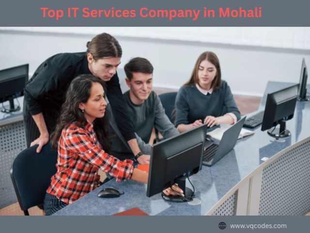 top-it-services-company-in-mohali-for-business-growth-in-2026
