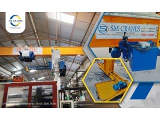precision-crane-with-hoist-pune-sm-cranes-small-0