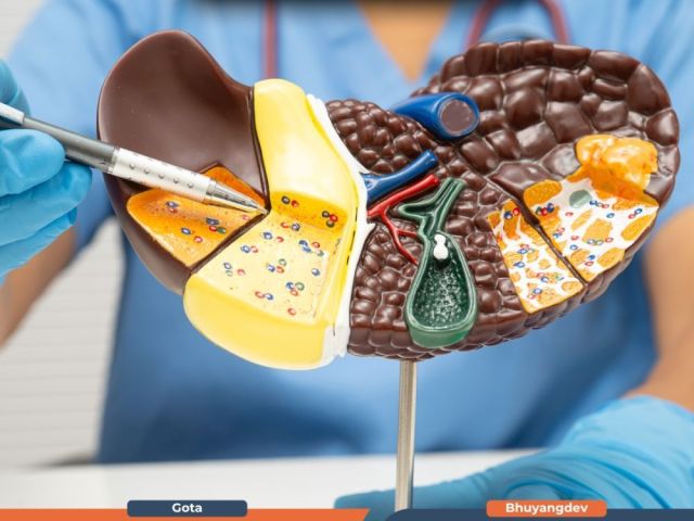 gastro1-hospital-provides-expert-liver-specialist-in-ahmedabad
