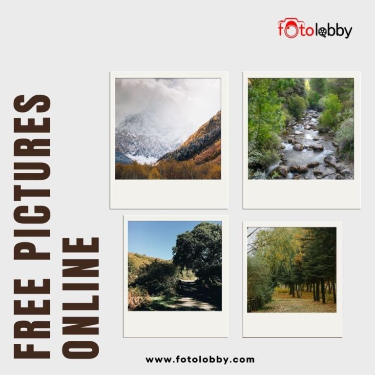 free-pictures-online-by-fotolobby-big-0