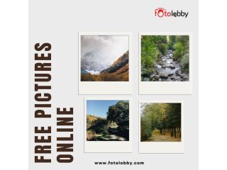 free-pictures-online-by-fotolobby-small-0