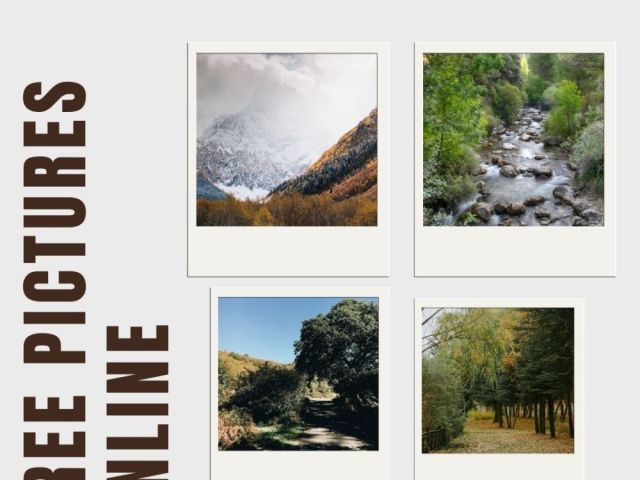 free-pictures-online-by-fotolobby