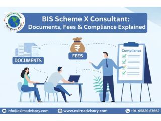 best-bis-scheme-x-consultant-for-documentation-exim-advisory-small-0