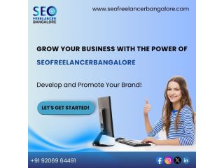 hire-bangalore-seo-freelancer-for-long-term-seo-results-small-0