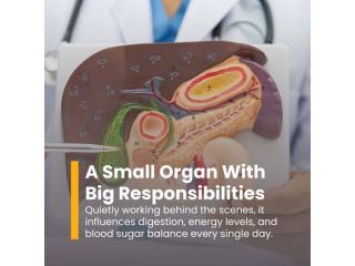 the-pancreas-and-its-functions-small-0