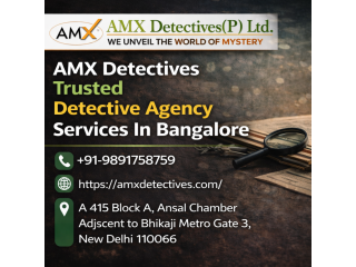 amx-detectives-trusted-detective-agency-services-in-bangalore-small-0