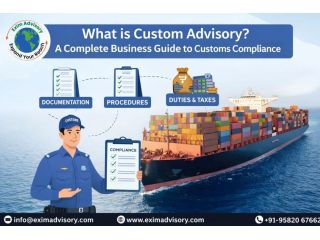 custom-advisory-mitigate-trade-risks-in-2026-exim-advisory-small-0