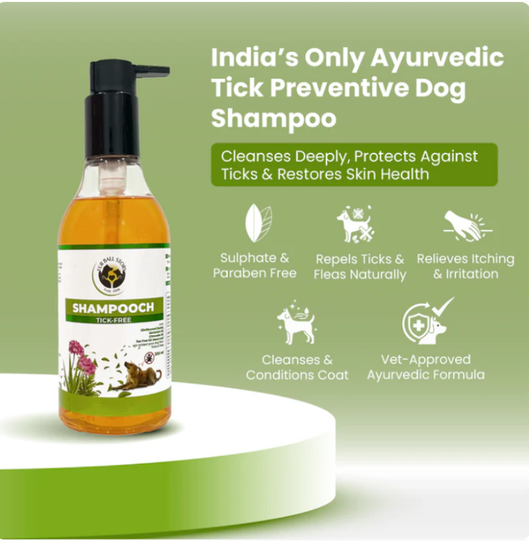 say-goodbye-to-ticks-naturally-big-2