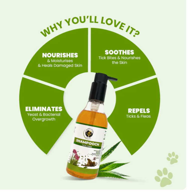 say-goodbye-to-ticks-naturally-big-3