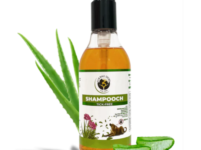 say-goodbye-to-ticks-naturally