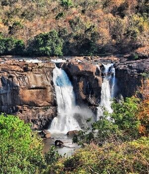 book-your-kerala-trip-today-explore-munnar-and-alleppey-big-0
