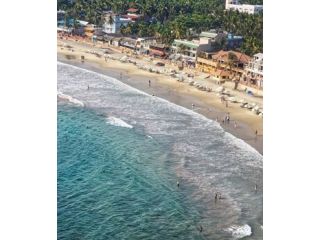 book-your-kerala-trip-today-explore-munnar-and-alleppey-small-3