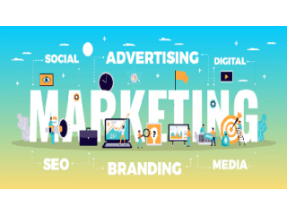 result-driven-digital-marketing-services-delhi-ncr-small-0