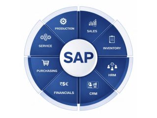 professional-sap-course-in-noida-job-oriented-training-program-small-0