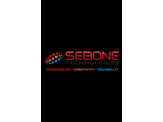 sebone-trusted-it-consultant-for-business-growth-small-0
