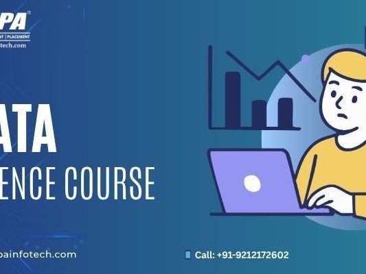 master-the-art-of-insight-data-science-immersion
