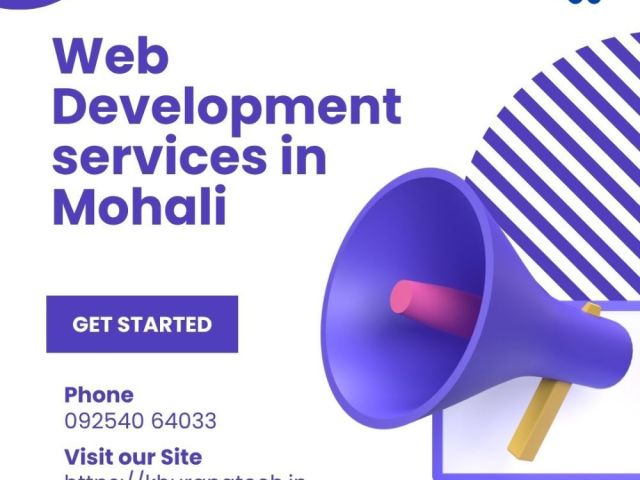 web-designing-company-mohali