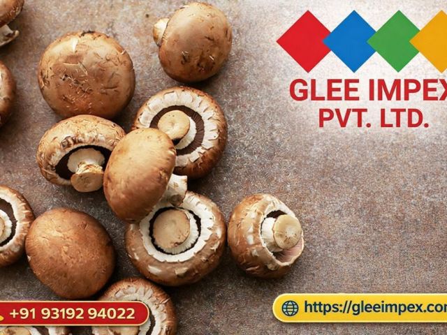 top-mushroom-exporter-best-exporter-company-in-india