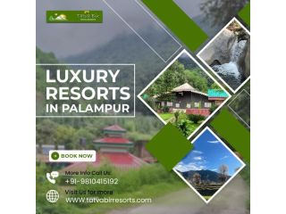 luxury-resorts-in-palampur-with-premium-amenities-small-0