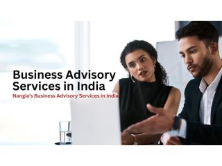 business-advisory-services-india-small-0