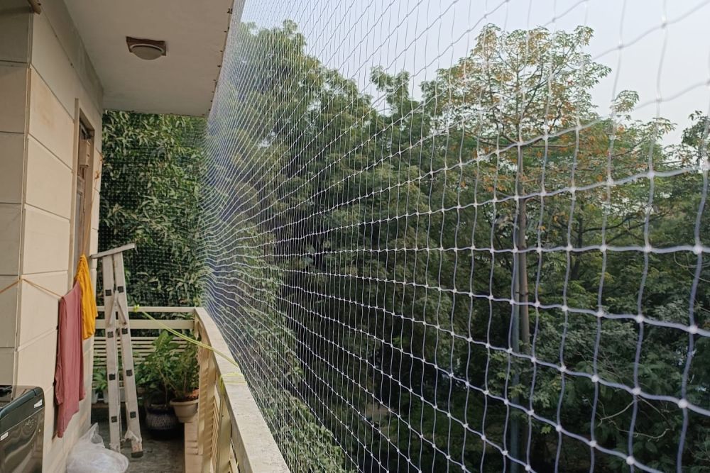 bird-control-solutions-bird-netting-services-in-delhi-big-2