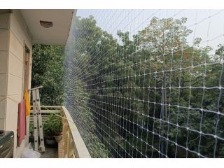 bird-control-solutions-bird-netting-services-in-delhi-small-2