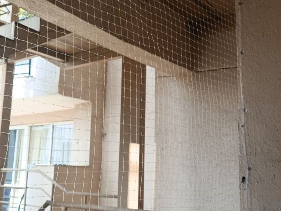 bird-control-solutions-bird-netting-services-in-delhi