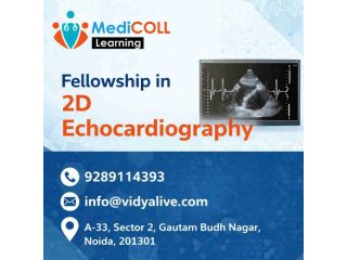 one-year-fellowship-in-2d-echocardiography-fees-eligibility-small-0
