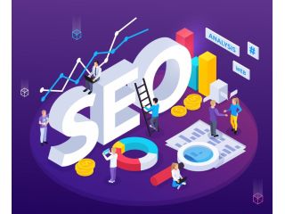 top-seo-agency-in-delhi-ncr-small-0