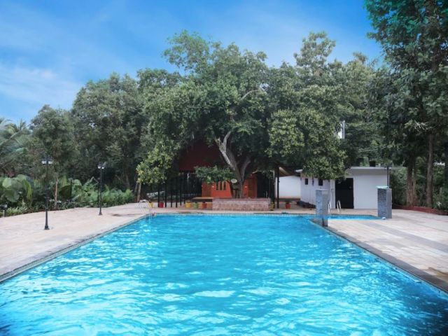 learn-swimming-safely-with-expert-coaching-in-thrissur