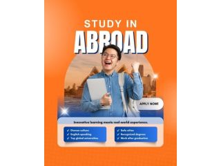 best-study-abroad-consultants-delhi-ncr-dream-ladder-small-0