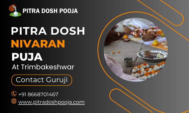 pitra-dosh-nivaran-puja-in-trimbakeshwar-temple-big-0