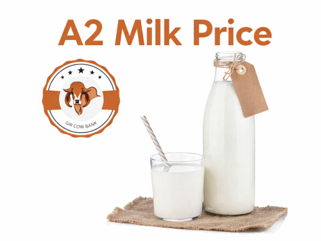 best-a2-milk-price-online-premium-quality-fresh-desi-cow-milk
